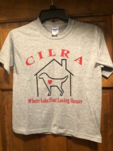 short sleeve grey cilra t-shirt