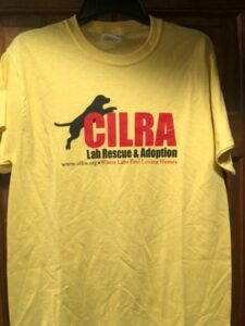 yellow short sleeve cilra t-shirt
